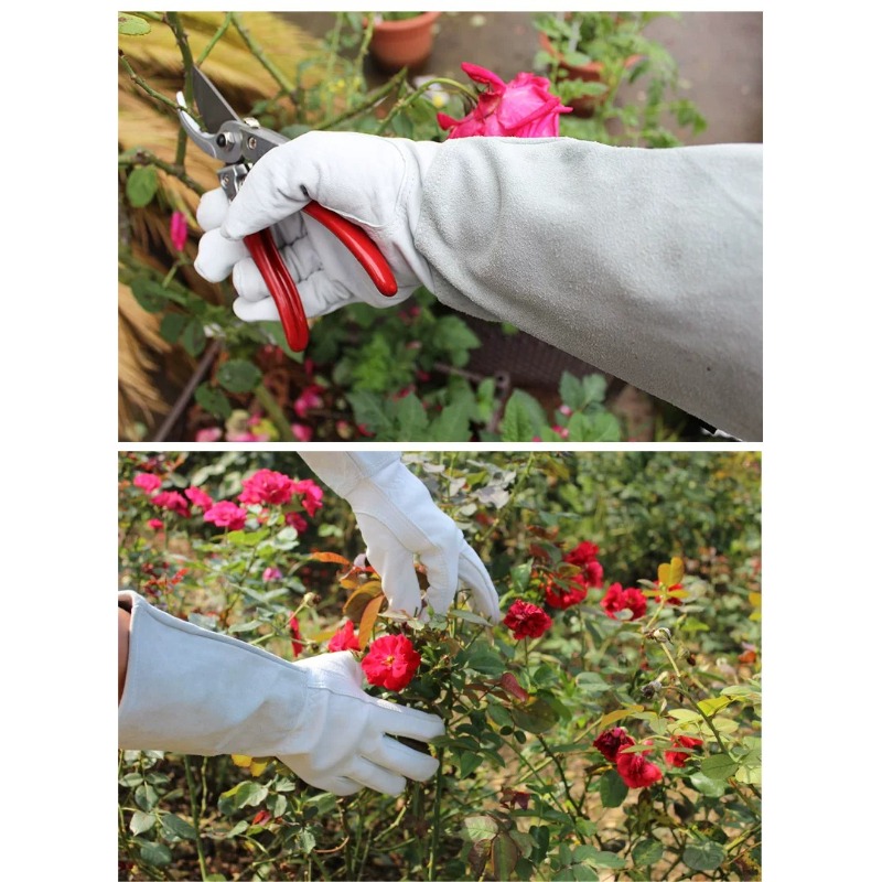 Un Paio di Guanti da Giardinag - Gardening Glove Waterproof recensione e prezzo